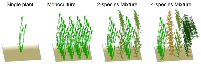 Enlarged view: Biodiversity