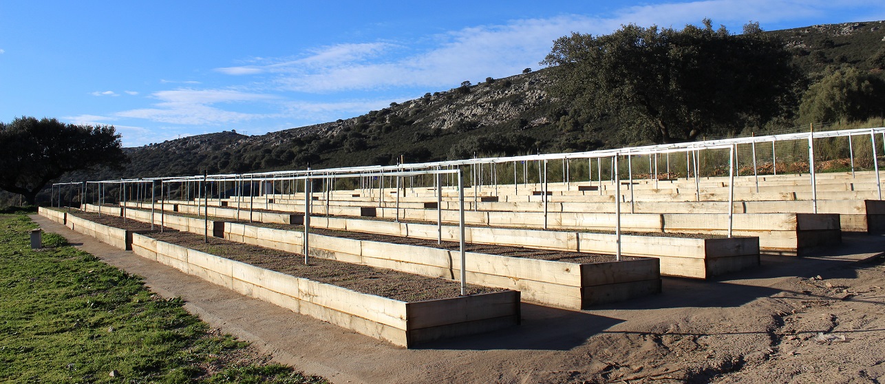 Aprisco de Las Corchuelas research station